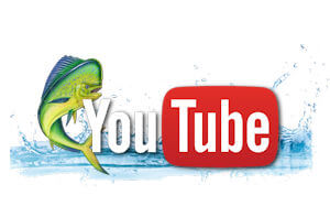 Bluefin YouTube Logo